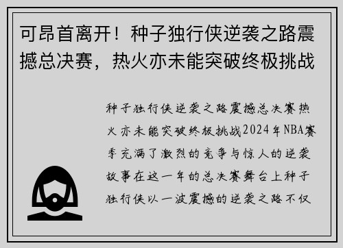 可昂首离开！种子独行侠逆袭之路震撼总决赛，热火亦未能突破终极挑战